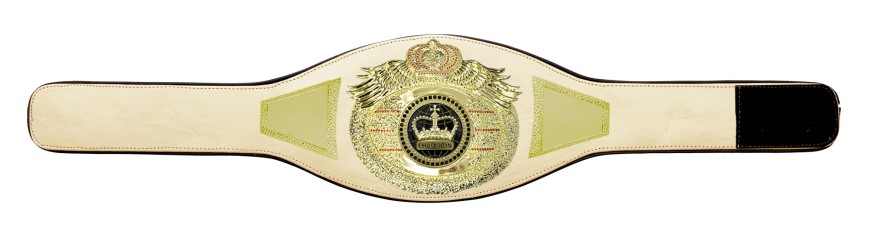 *NEW* PROICON CHAMPIONSHIP BELT/G/BLKGEM - AVAILABLE IN 6+ COLOURS